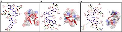 Anti-oomycete Activity of Chlorhexidine Gluconate: Molecular Docking and in vitro Studies